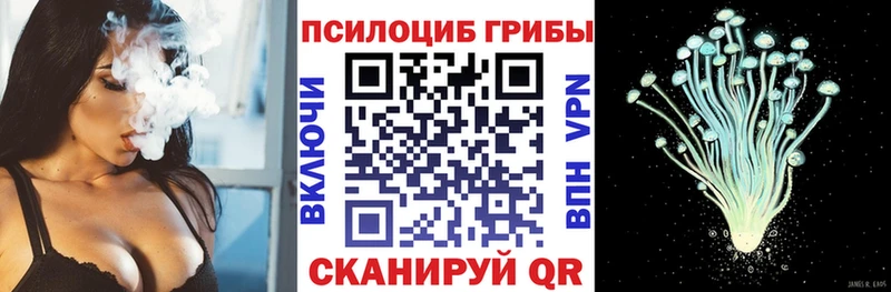 Галлюциногенные грибы мицелий  дарк нет наркотические препараты  Можайск 